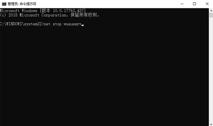 Win10更新失敗出現(xiàn)”0x800700C1“錯(cuò)誤的解決方法